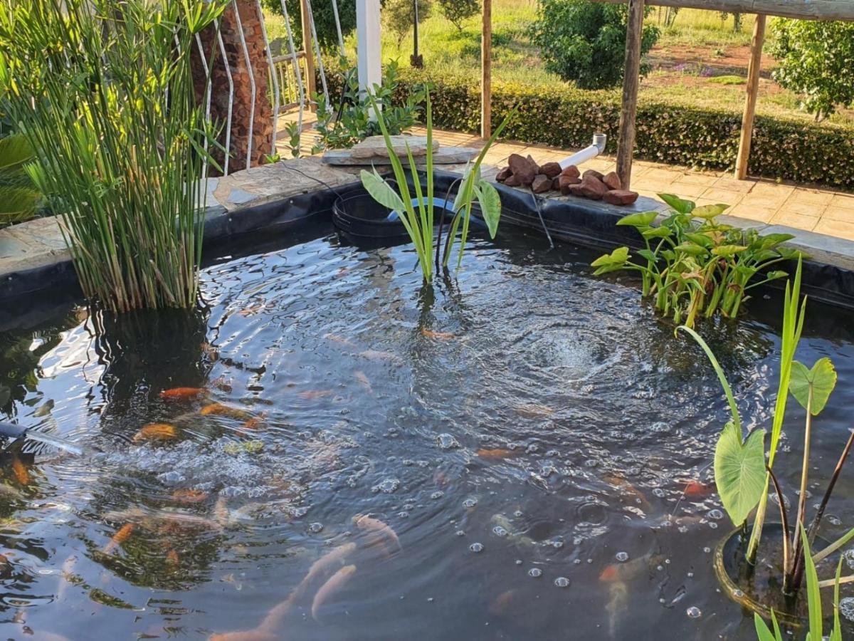Koi Inn Хартбееспоорт Екстериор снимка